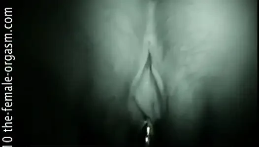 T Butterfly Bottoms Up