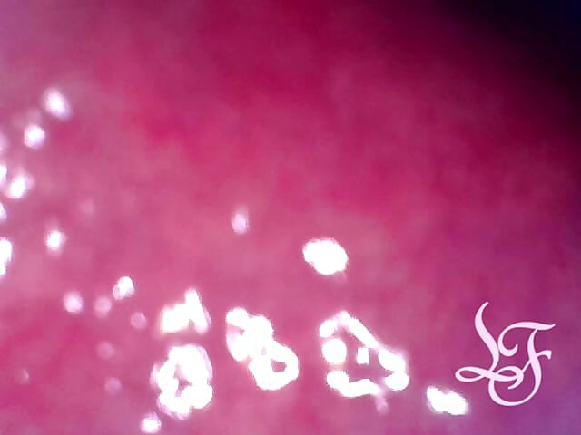 想游进我的屁股里吗？