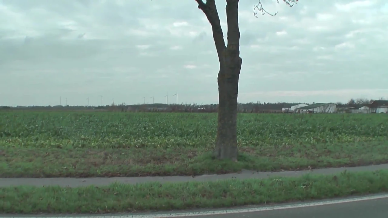 German - Big busty girl outdoor