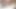 ルナとマジックが浴槽で楽しんでいる