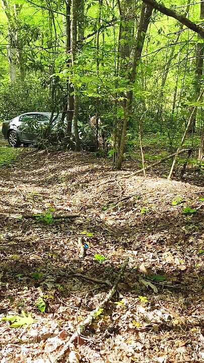 She's Caught Pussy Rubbing in the Woods Squirting on Her Car Hood