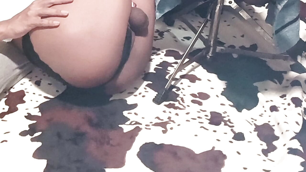 有光泽眼睛的华丽 Tgirl Honey 舔你干净 2