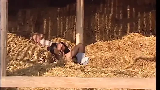 Sarışın erkek delisi sikişmeden önce büyük bir yarağı emiyor
