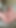 Captivating moment from "I want, need to cum. Daddy masturbating"