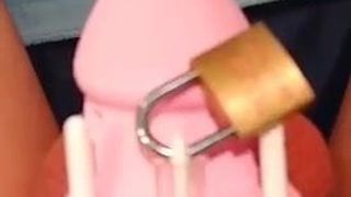 Sissy Ashley Shows Daddy her tiny clitty is locked up tight