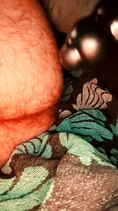 Gay dildo ass