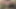 Sindy gül, seksi sarkık anal kraliçe ve cüce
