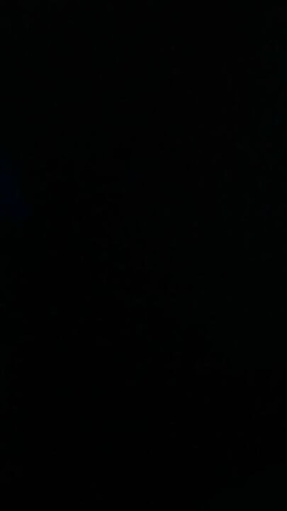 欲情の夜