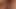 pov blowjob and fuck, close up
