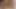 fucked my step brother in my rented flat