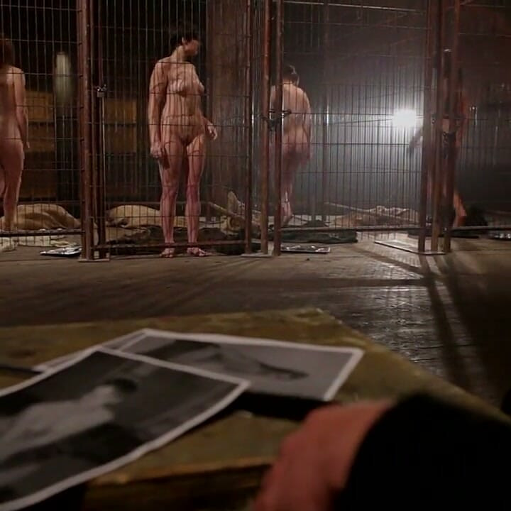 Feature Shoot Abandoned Slaves