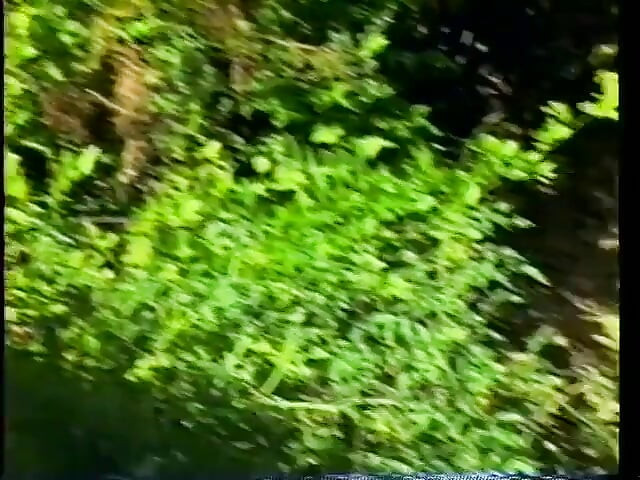 Mira a una mujer mayor agarrarle las nueces y chuparle la polla