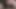 Behaarte Penis-Masturbation
