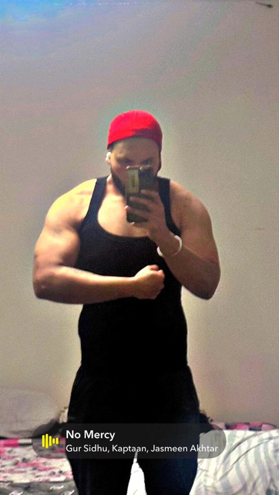 Punjabi bull