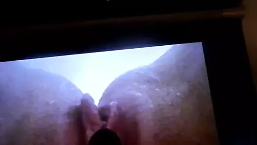 tributes vero