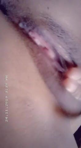 Pajaso Rico