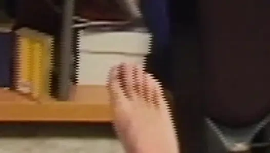 AI ANIMEX
