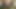 アンジェロが待っている間にフェラ
