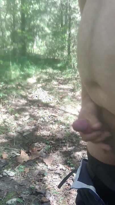 In the woods