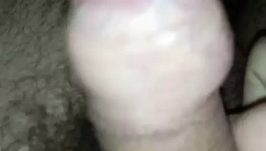 penis