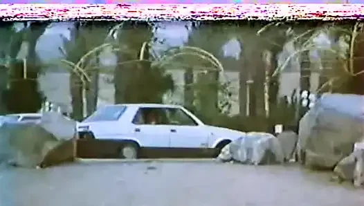 Bildung für Unterwerfung (1985)