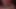 Video Game SFM Huge Cock Futanari