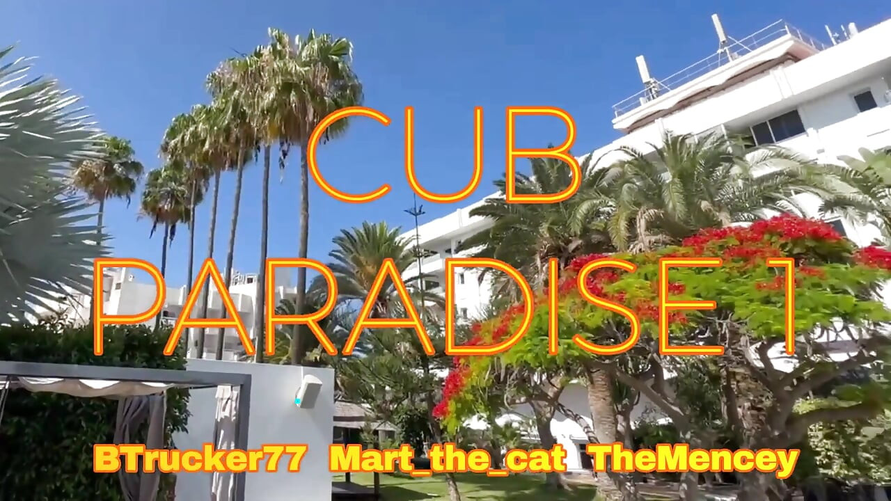 Cub Paradise 1