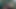 Bbc big black cock very fast masturbation with hardcore dick.like that African bbc.