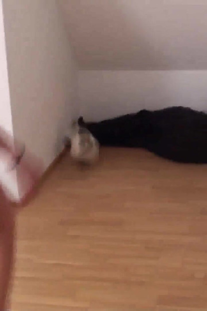 Perlawanan bola sepak dengan seorang hamba