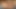Passionate Foreplay & Love Making with Hot Creampie Ending
