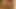 Asiatischer Twink gibt einen Blowjob