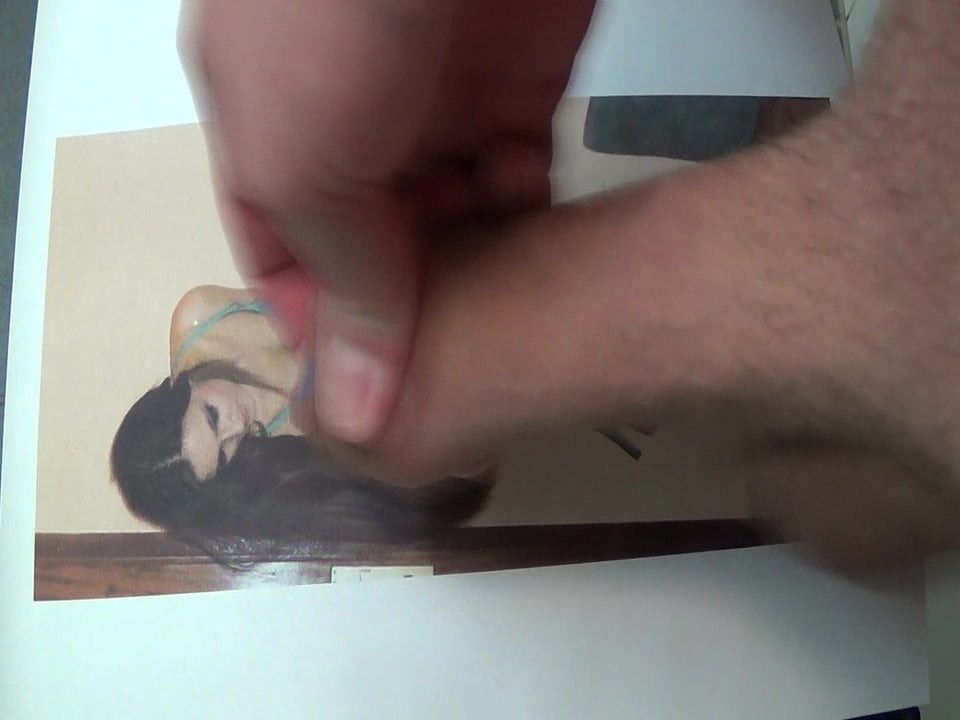 bobcatシリーズへのオマージュ