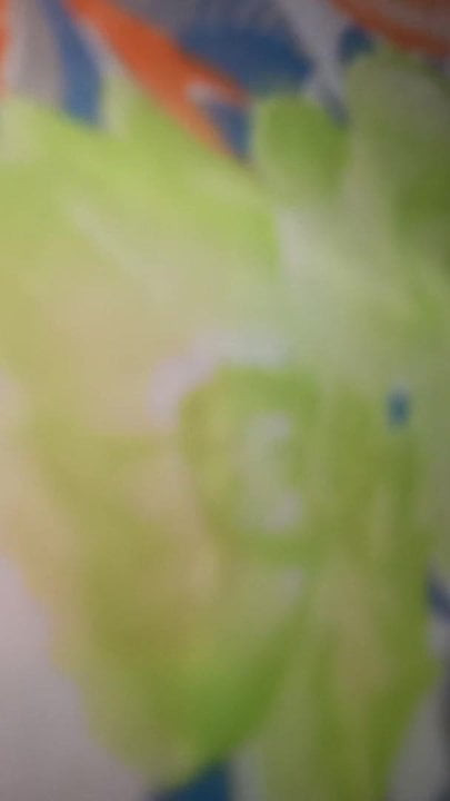My fest video