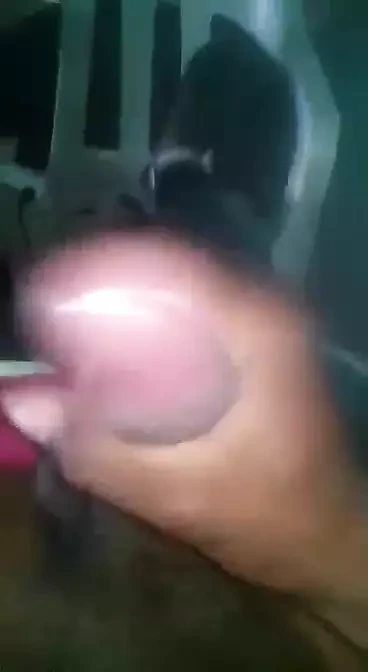 we play and go to sleep