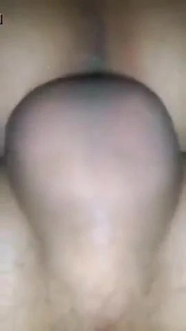 DP trio