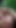 Jaw-dropping moment from "Anal sex in the forest stream is quite adventurous and can"