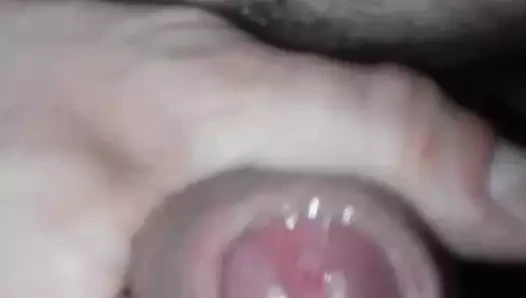 penis