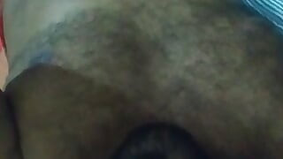 Selfie pejantan India berbulu muda