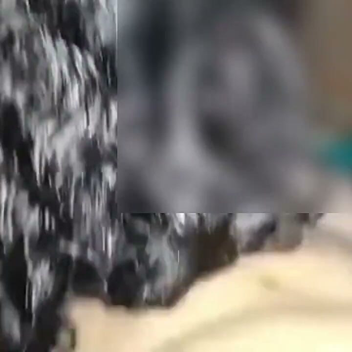 Best Blowjob by Step Sister and Cum in Her Mouth