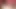 Seksi losyon yağı oyunu, titjob, canlı şovumda kedi