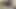 College Boy Cumming with you (Eye Contact) big Dick 23cm.