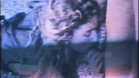 Domaltmalı maxima sapıklığı