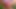 A Sensual, Natural Outdoor Encounter – RealSweetBunny