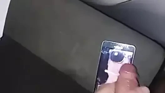 Ava gri haraç 3