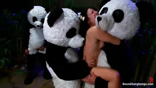 Pandamonium!!! Panda Lullaby!!! Panda Porno!!!!!