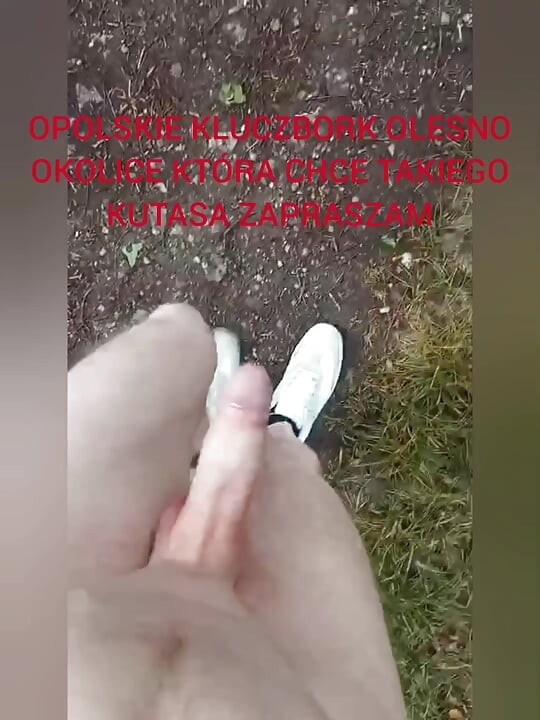 Zadbany Kutas