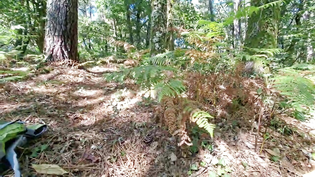 An hour of jerking in the middle of the forest, remi06cam4