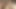膣舐め、セックス、アナルプラグ、体に精液を塗ること。