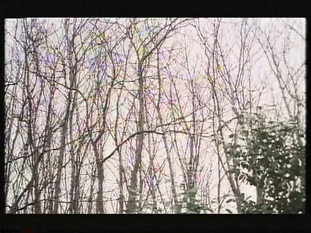 Une Epouse a tout faire (1980)