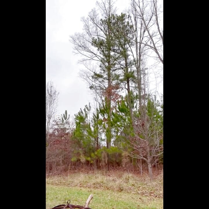 Suzy Wylde Adalah Seorang Artis